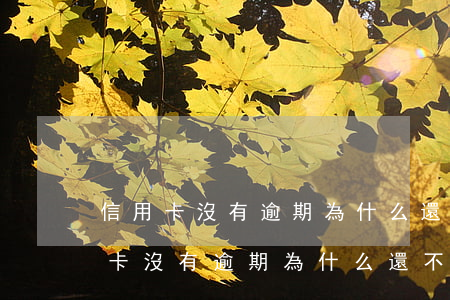 信用卡沒有逾期為什么還不進去錢了-信用卡沒有逾期為什么還不進去錢了呢