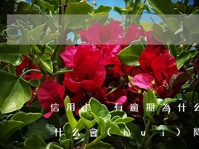 信用卡沒有逾期為什么額度降了(沒有逾期為什么會(huì)降低額度)