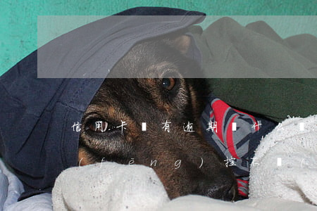 信用卡沒有逾期為什么風(fēng)控(風(fēng)控不嚴(yán)格的信用卡)