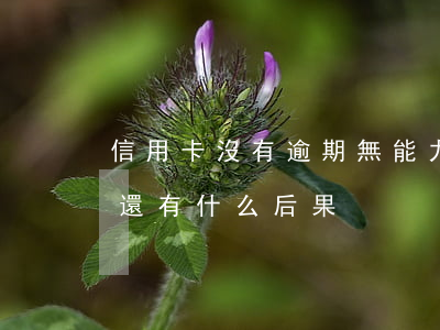 信用卡沒有逾期無能力還(如果信用卡逾期沒還有什么后果)