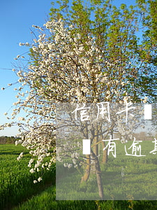 信用卡沒有逾期突然降額了怎么辦-信用卡沒有逾期突然降額了怎么辦呢