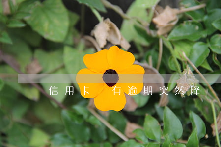 信用卡沒有逾期突然降額了怎么辦