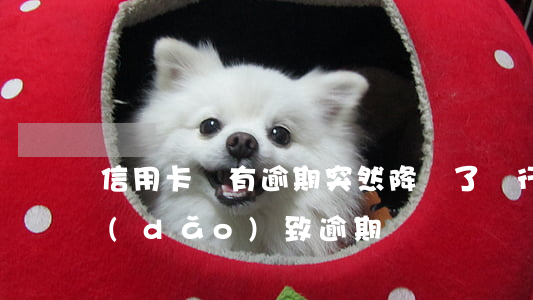 信用卡沒有逾期突然降額了(銀行降低額度導(dǎo)致逾期)