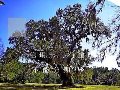 信用卡沒有逾期能不能分期(欠信用卡為什么不能分期)