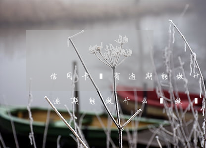 信用卡沒有逾期能做什么貸款-信用卡沒有逾期能做什么貸款業(yè)務(wù)