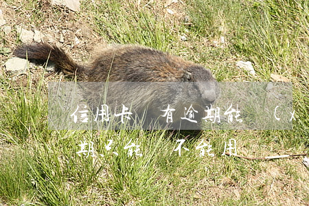 信用卡沒有逾期能續(xù)卡么(信用卡逾期只能還不能用)