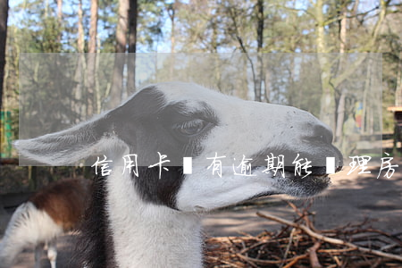 信用卡沒有逾期能辦理房貸嗎