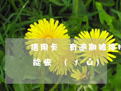 信用卡沒有逾期被停掉(逾期停用的信用卡還能恢復(fù)嗎)