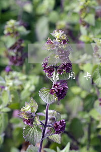 信用卡沒有逾期被司法凍結(jié)