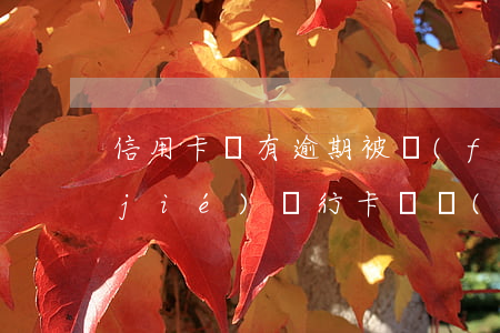 信用卡沒有逾期被風(fēng)控凍結(jié)(銀行卡凍結(jié)導(dǎo)致信用卡逾期)
