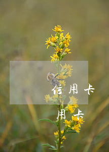 信用卡沒有逾期過可以辦理停息掛賬嗎-信用卡沒有逾期過可以辦理停息掛賬嗎