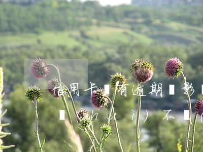 信用卡沒有逾期過影響嗎(信用卡很久沒用了會(huì)不會(huì)存在逾期)