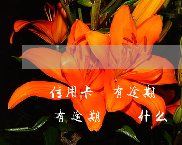 信用卡沒有逾期過為什么會凍結-信用卡沒有逾期過為什么會凍結微信