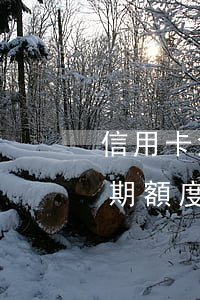 信用卡沒有逾期額度卻下降了(信用卡沒有逾期額度卻下降了)