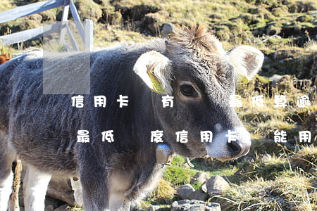 信用卡沒有還夠最低算逾期嗎-逾期幾天還最低額度信用卡還能用嗎