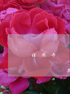 信用卡沒欠款還了錢怎么辦(欠了信用卡的錢暫時無力償還怎么辦)