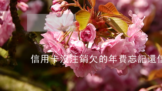 信用卡沒注銷欠的年費(忘記還信用卡年費)