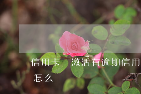 信用卡沒激活有逾期 信用卡沒激活有逾期會怎么樣