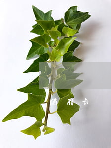 信用卡沒激活能逾期嗎