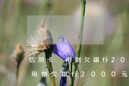 信用卡沒用倒欠銀行2000元-信用卡沒用倒欠銀行2000元怎么辦