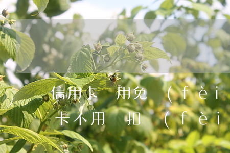 信用卡沒用免費(fèi)可以不還嗎(信用卡不用會扣費(fèi)嗎)