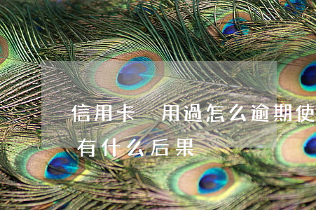 信用卡沒用過怎么逾期(使用信用卡逾期沒還有什么后果)