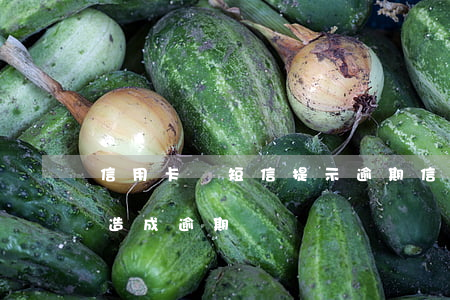 信用卡沒短信提示逾期(信用卡沒有短信提醒造成逾期)