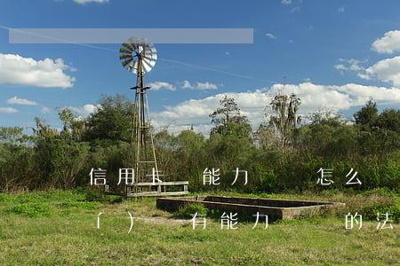 信用卡沒能力償還怎么辦(信用卡確實(shí)沒有能力償還的法院怎么辦)