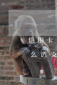 信用卡沒透支為0怎么辦(信用卡沒額度了怎么透支)