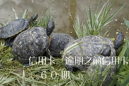 信用卡沒逾期之前(信用卡沒逾期之前可以申請60期嗎)