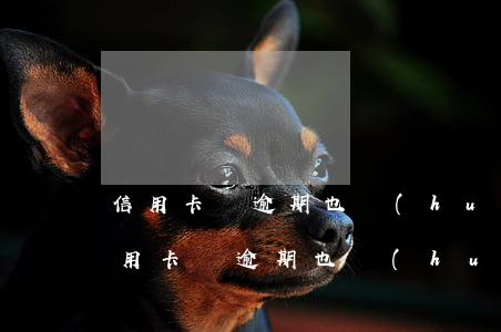 信用卡沒逾期也會(huì)扣利息的嗎(信用卡沒逾期也會(huì)扣利息的嗎)