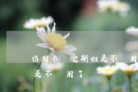 信用卡沒逾期但是不讓用了(信用卡沒逾期但是不讓用了)