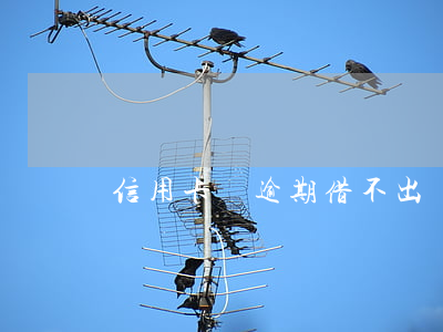 信用卡沒逾期借不出來(信用卡沒逾期借不出來錢)