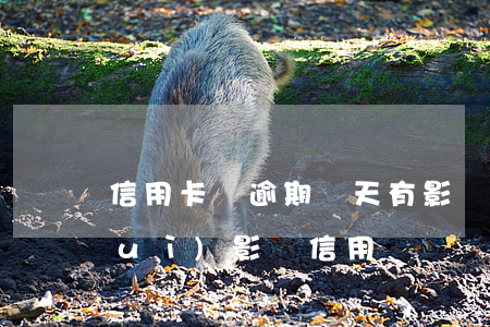 信用卡沒逾期兩天有影響么(逾期兩天會(huì)影響信用嗎)