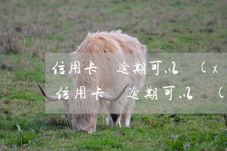 信用卡沒逾期可以協(xié)商再次分期(信用卡沒逾期可以協(xié)商再次分期嘛)