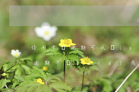信用卡沒逾期可以協(xié)商嘛(信用卡逾期不協(xié)商怎么辦)