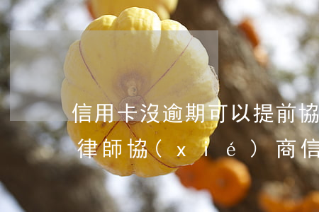 信用卡沒逾期可以提前協(xié)商嗎(找律師協(xié)商信用卡逾期)