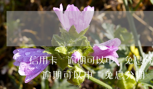 信用卡沒逾期可以申請免息分期嗎-信用卡沒逾期可以申請免息分期嗎?