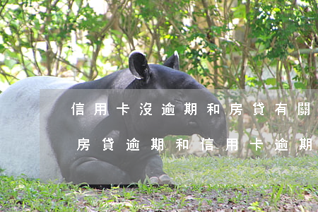 信用卡沒逾期和房貸有關(guān)系嗎(房貸逾期和信用卡逾期性質(zhì)一樣嗎)