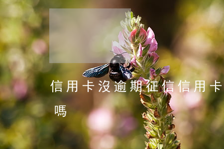 信用卡沒逾期征信(信用卡沒逾期征信能查到嗎)
