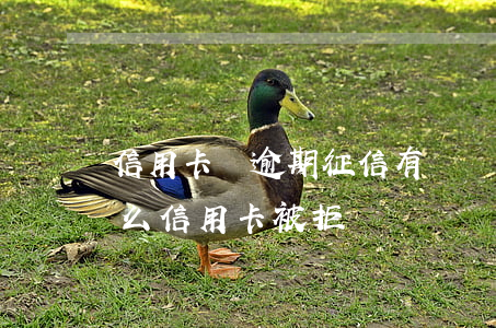 信用卡沒逾期征信有問題(沒有逾期記錄為什么信用卡被拒)