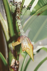 信用卡沒逾期征信有(征信有逾期辦理信用卡)