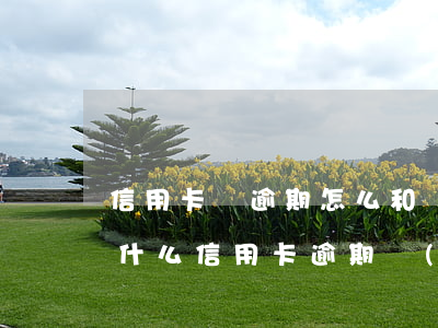 信用卡沒逾期怎么和銀行協(xié)商(為什么信用卡逾期協(xié)商不了)