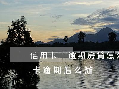 信用卡沒逾期房貸怎么辦理(買房貸款有信用卡逾期怎么辦)