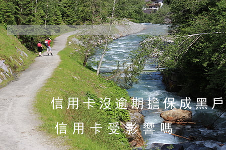 信用卡沒逾期擔保成黑戶(擔保被起訴黑名單信用卡受影響嗎)