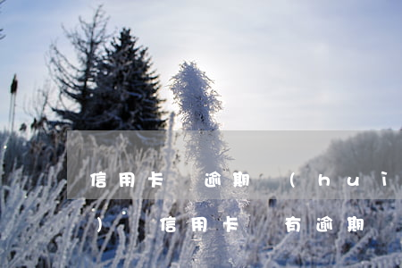 信用卡沒逾期會(huì)被凍結(jié)嗎(信用卡沒有逾期凍結(jié)了怎么辦)