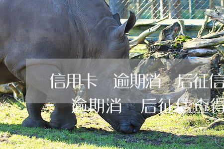 信用卡沒逾期消戶后征信查得到嗎-信用卡沒逾期消戶后征信查得到嗎