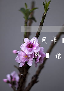 信用卡沒逾期為什么會降額度-信用貸逾期影響信用卡降額嗎