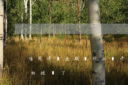 信用卡沒逾期為什么鎖卡(為什么信用卡好好的被鎖了)