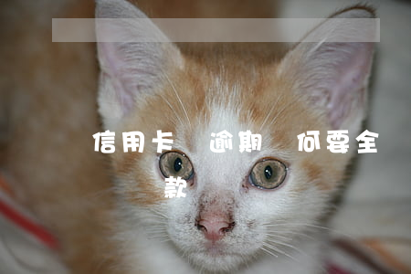 信用卡沒逾期為何要全額還款(逾期后只能全額還款嗎)
